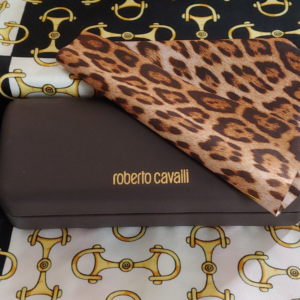 Sunglasses Case.